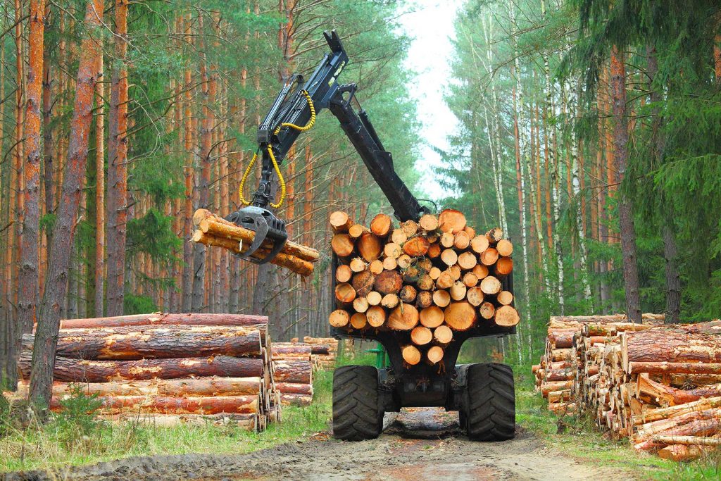 Coda Industriel - Forestry Equipment
